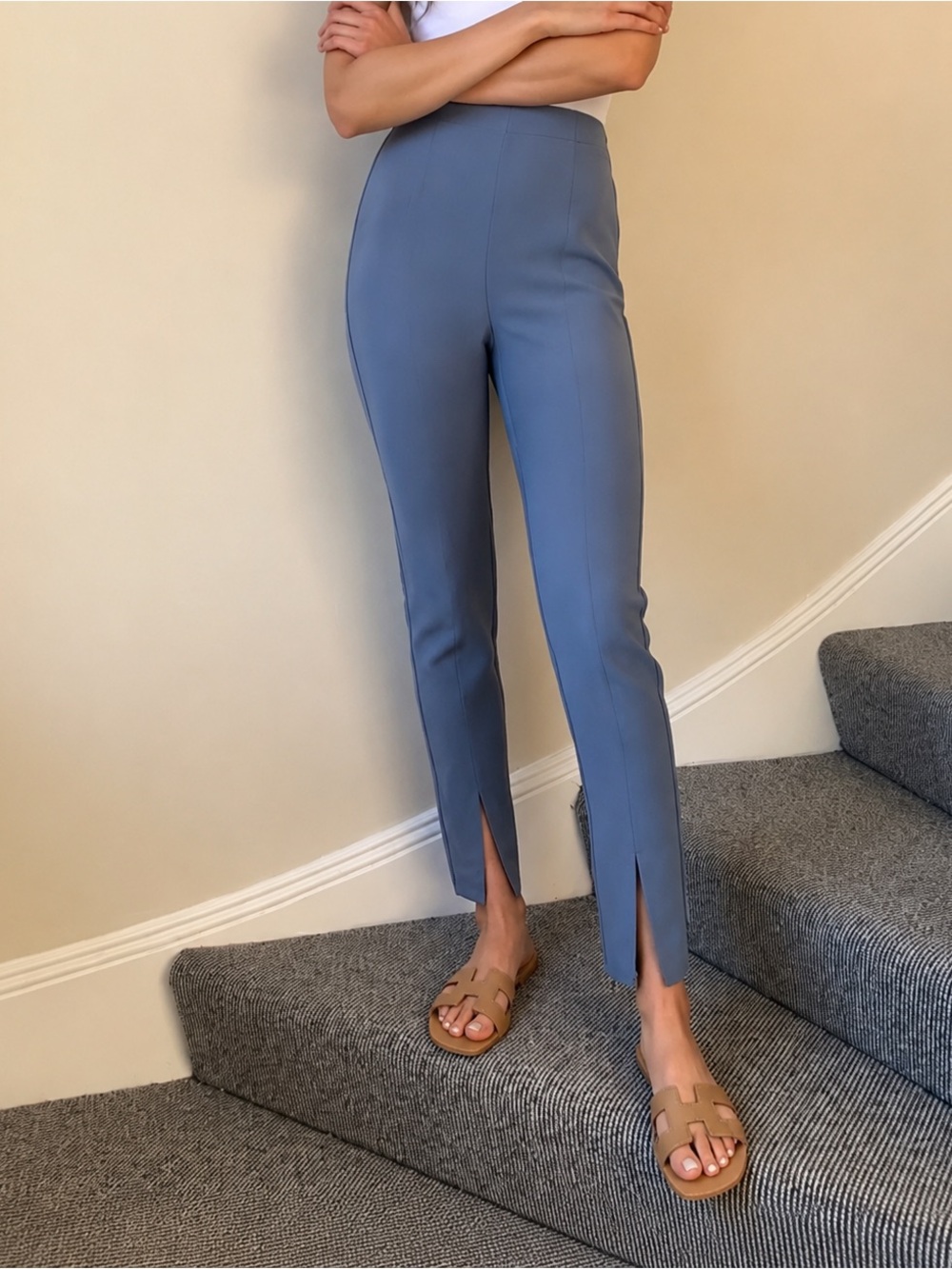 Aritzia Babaton Jotham Pant